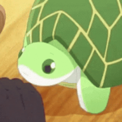 🐢TurtleClub 🐢 - Discord Server 🐢TurtleClub 🐢 - Discord Server
