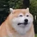 HAM AND CHEESE