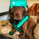 Tdog's Community icon