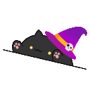CCC: The Chaotic Cat Cult