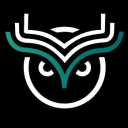 Wise Token icon