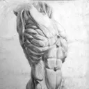 Art Anatomy