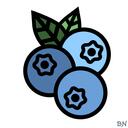 Blueberry Network  🫐  Discord Server Icon