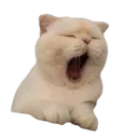히키의 노예들 o(=´∇｀=)o