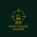 Pwnt Sound Gaming