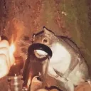 Servidor epico