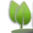 The Leafy Isle Discord