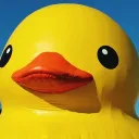 The Duck Pond