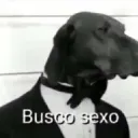 SEXO