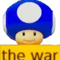 the war