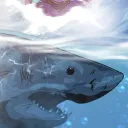 The Shark Den OG