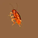 🦗 🅱ŘÖȚHƏŘ§' ĞÆŇĢ HĪĐĘØŪȚ 🦗
