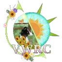 Virtuality World's Roleplay Community