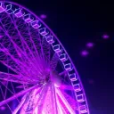 💫✨The Zone✨💫's icon