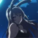 ˚୨୧⋆ bunny’s playhouse  ˚୨୧⋆.