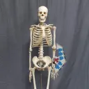 closed DLD discord