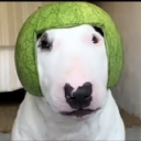 Walter Academy Server Icon