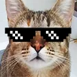 Arquijapa