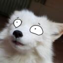 Östereichische furry community Discord Server Icon