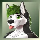 Azora Husky Server