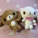 bunnies 𝟅𝟈