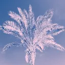 Tahiti