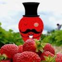 The Strawberry Patch