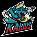 Kaijus Rhythm