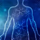 Anatomy & Physiology