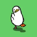 we are duck people