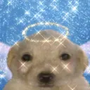 good boiyes only