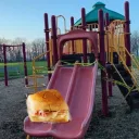 Hamm's Playground