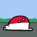 PolishHub