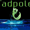 Tad's Pond