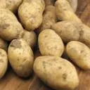 The Potato Kingdom