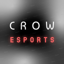 Crow eSports Server Icon