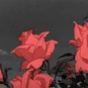 Nash's Discord's icon