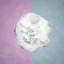 Digital Garden