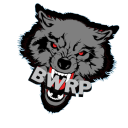 BlackWolf Roleplay icon
