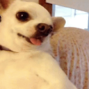 Rae's Crib Server Icon