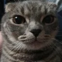 Deso's drugstore Discord Server Icon