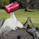 AdamChromeE's Discord Server