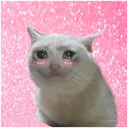 Frens