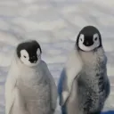 solo,Duos,Trios　エンドゾーン