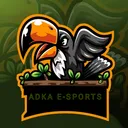 ADKA E-SPORT