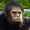 GorillaARK