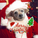 Discovery icon for Negrolandia Discord server