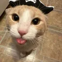 Meri Meri Prrhhhh