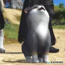 The Blanket Fortˋˏ•ˎˊ18+ Discord Server Icon