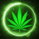 👑 AMNESIA-CS 👑